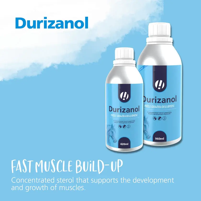 Durizanol liquid muscle support supplement for horses and ponies