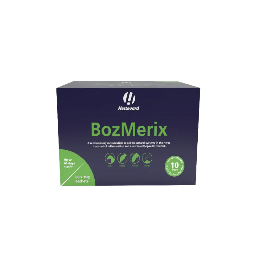 BozMerix equine supplement for joint and mobility support