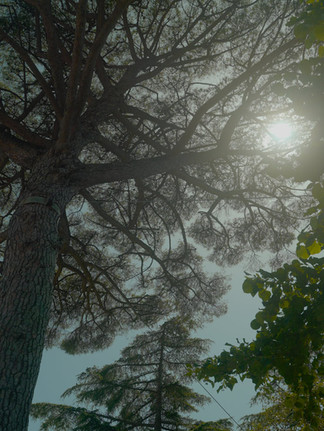 Kodak vision 200t recipe