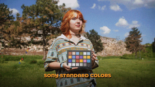 Sony Film Simulation Recipes - Visual Guide | veresdenialex