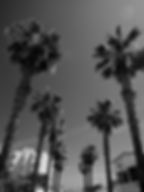 sony a6700 black and white picture profile