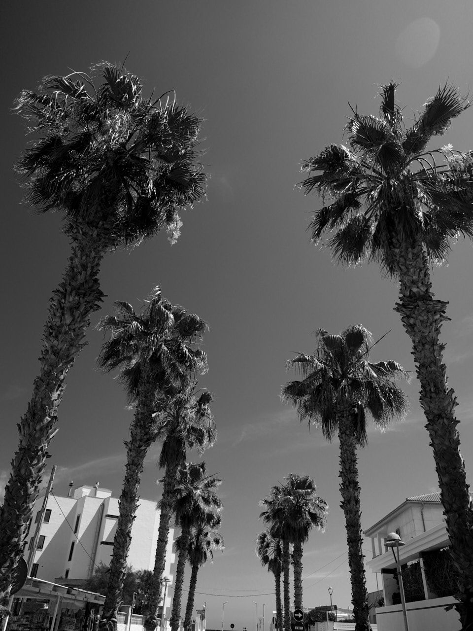 sony a6700 black and white picture profile