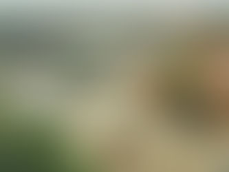 16 Sony JPEG recipes I made using Creative Looks