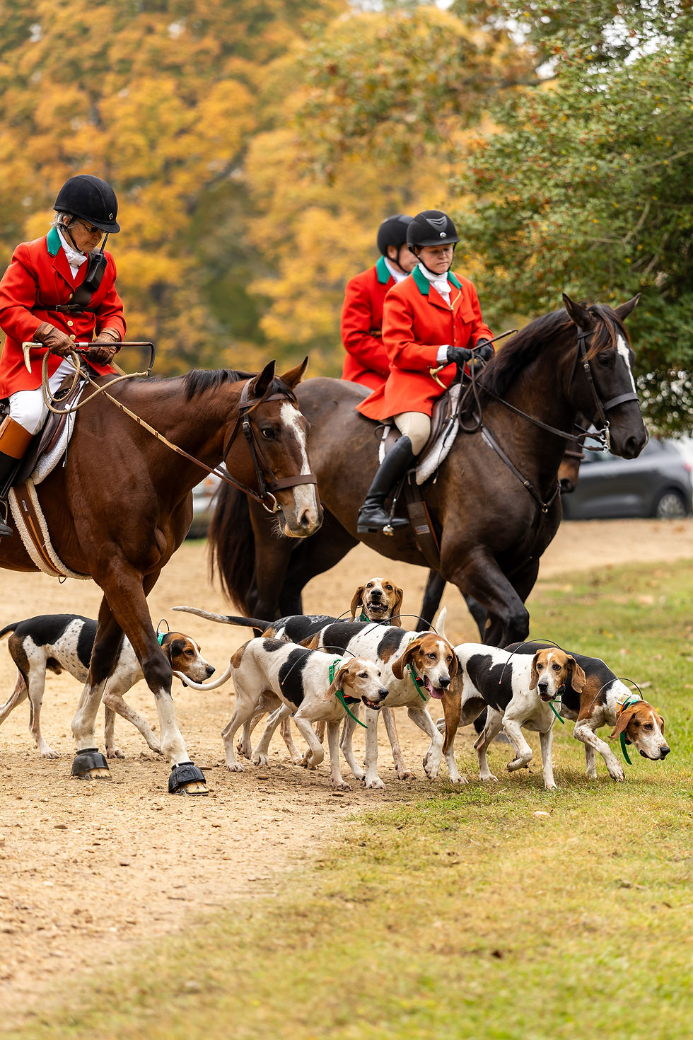 Longreen Foxhounds 69th Opening Meet