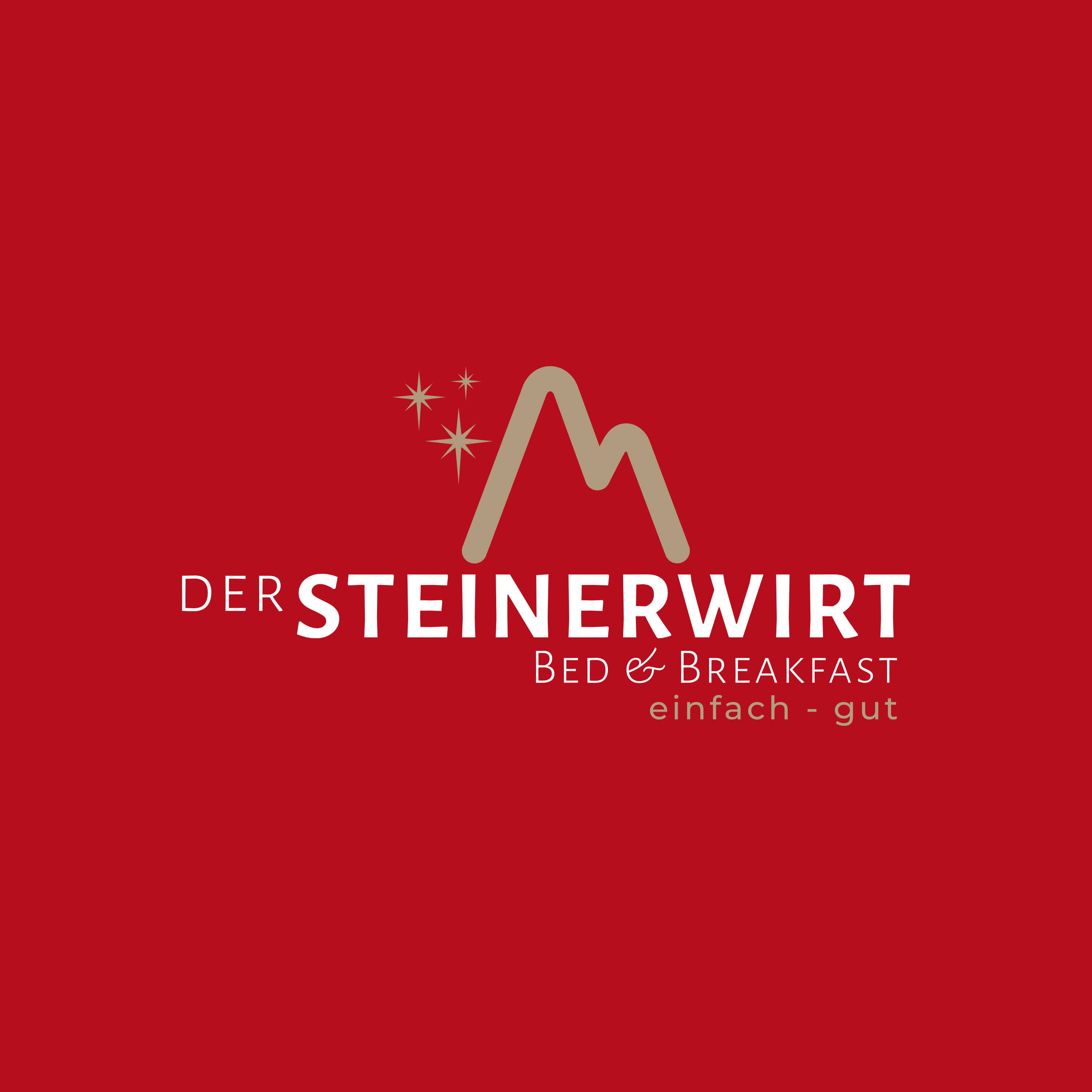 Gasthof Steinerwirt in Wagrain, Austria