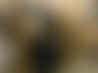 I thought I had my ticket in my pocket somewhere!