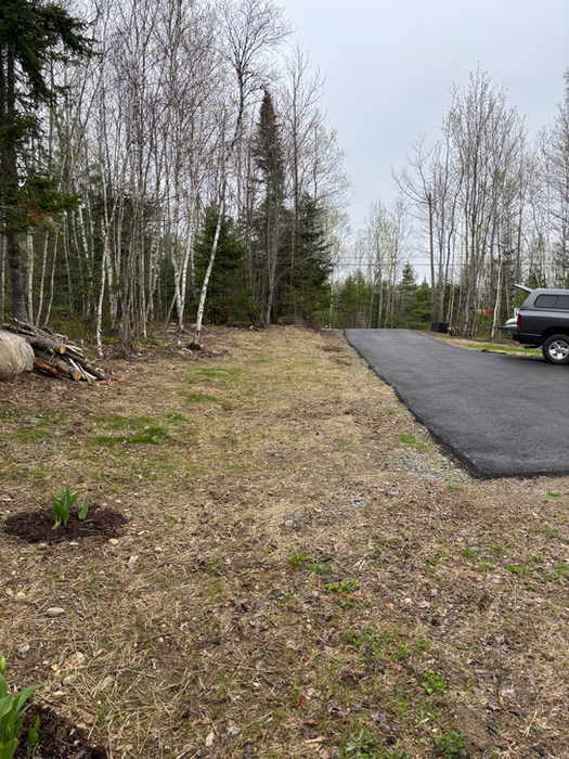 newly treated lawn beginning to grow after seeding in Bangor Maine