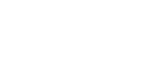 ST7.Logooutlined.White.png