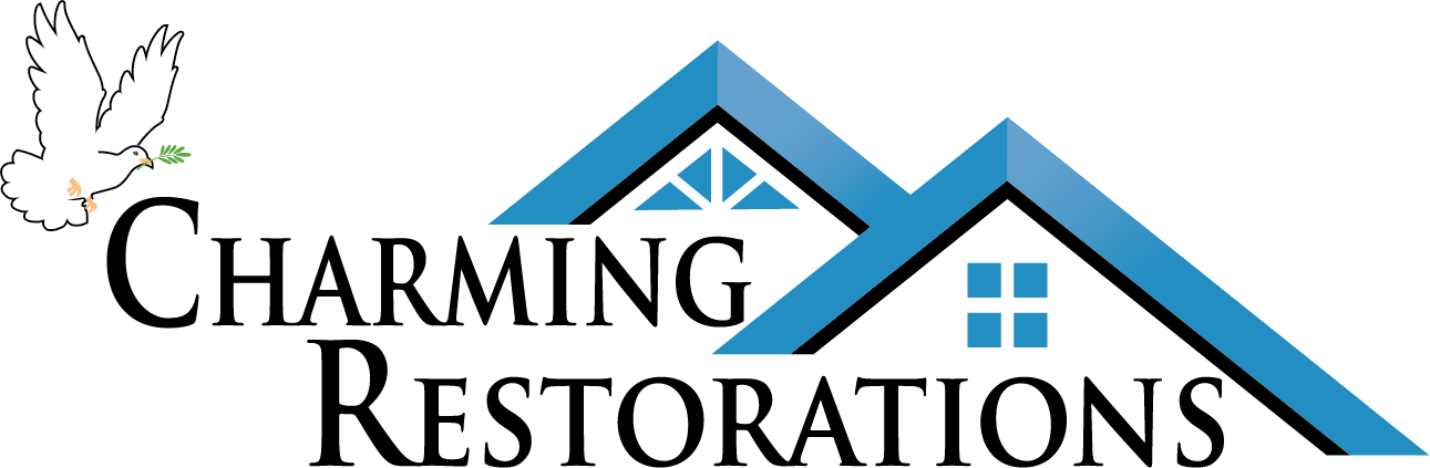 White dove with olive branch and blue house roof