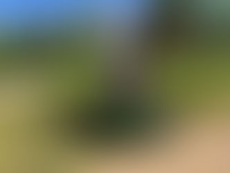 A Mountain Bike Ride to a Deer Farm