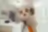 452426_3_57935789-full.avif
