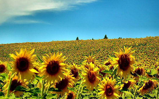 wp6691655-summer-england-wallpapers.jpg