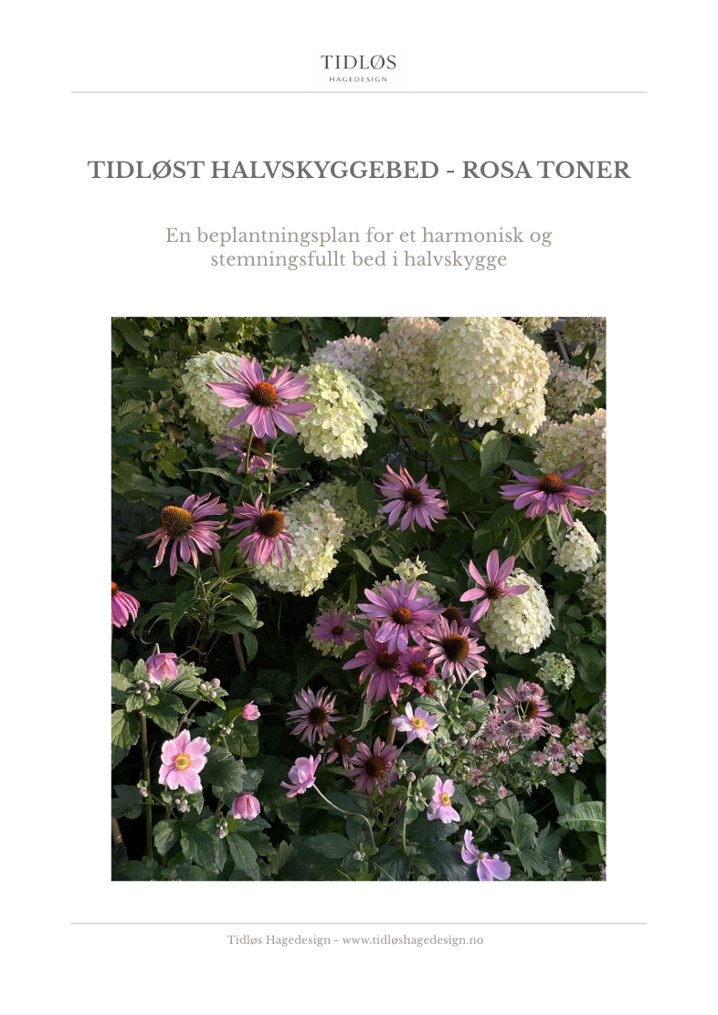 Tidløst halvskyggebed i rosa toner
