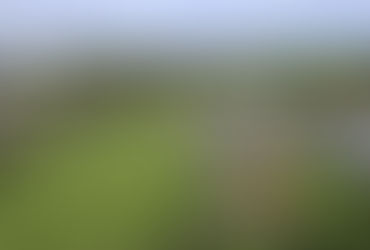 2026 Arnold Palmer Invitational Final Thoughts