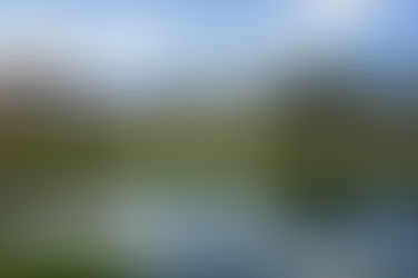 2025 FedEx St. Jude's Championship Final Thoughts