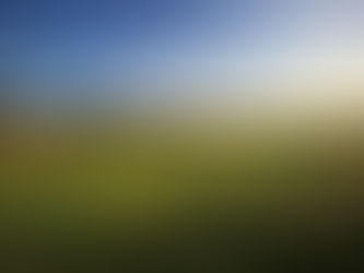 golf course in England with high grass surrounding the fairway