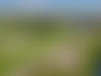 2025 Ryder Cup Model and Player Guide