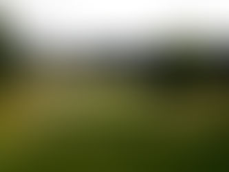 How to Play Ryder Cup DFS: A Primer