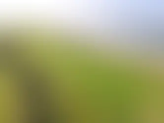 golf course in Ireland along the coast