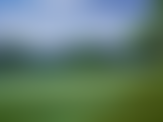 2025 John Deere Classic Tournament Preview