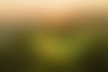 2025 Open Championship Final Thoughts