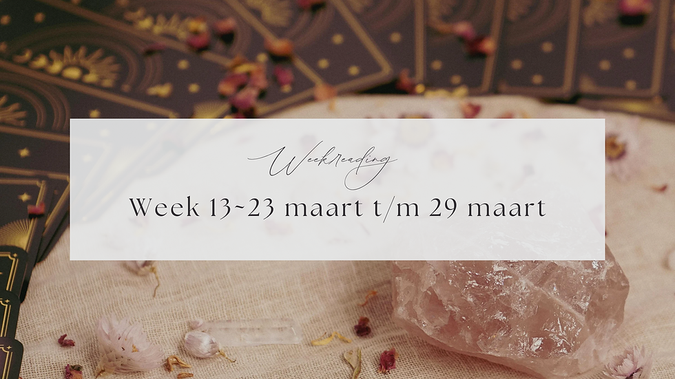 Weekreading| Week 13
