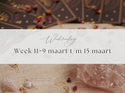 Weekreading| Week 11