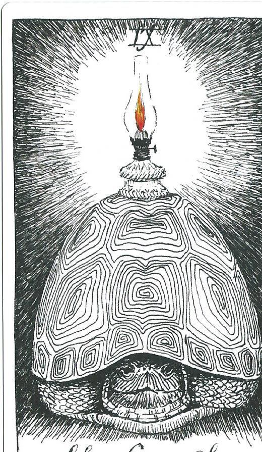 Schildpad met gedetailleerd patroon op het schild, olielamp op de rug. Straalt licht uit, zwart-witte tekening, rustige sfeer.
