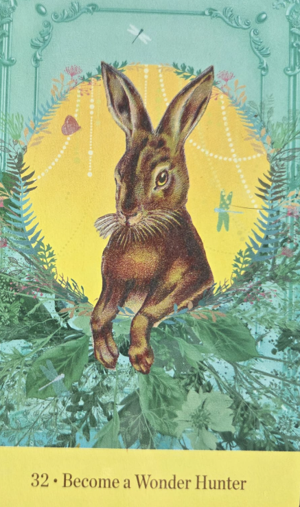 Konijn in een gele cirkel met groen bladerkader; onderaan staat: 32 · Become a Wonder Hunter.