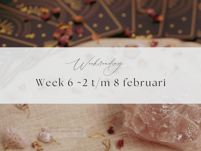Weekreading| Week 7