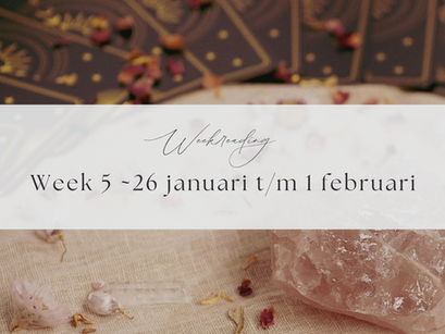 Weekreading| Week 5