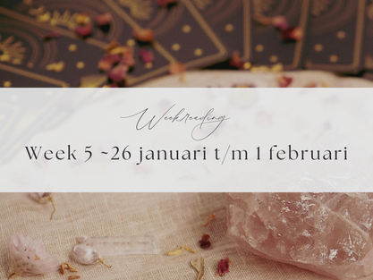Weekreading| Week 5 