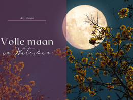 Astrologie | Volle maan in Waterman