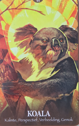 Koala op tak tegen felgele en oranje achtergrond; onderaan tekst: KOALA, Kalmte, Perspectief, Verbeelding, Gemak.