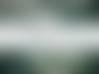 Persoonlijke verhalen | Januari, de maand van vertraging 