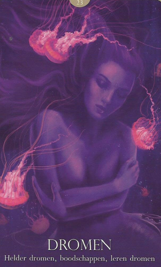 Paars, dromerig beeld van een vrouw tussen lichtgevende kwallen; onderaan staat DROMEN.