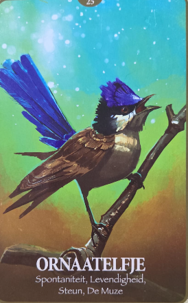 Kleurrijke poster van een ornaatelfje op tak, blauw-paarse staart en kuif, met tekst ORNAATELFJE.