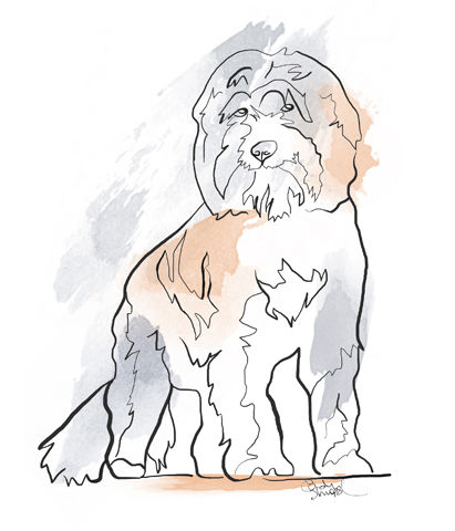 Thumbnail: Custom digital outline pet portrait by Cindy Shropshire that provides a cool modern artwork