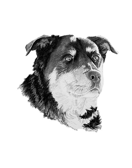 Maggie