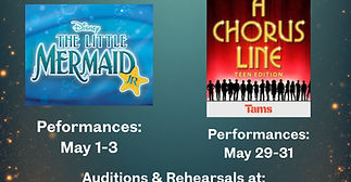 Spring 2026 Audition flyer_edited.jpg