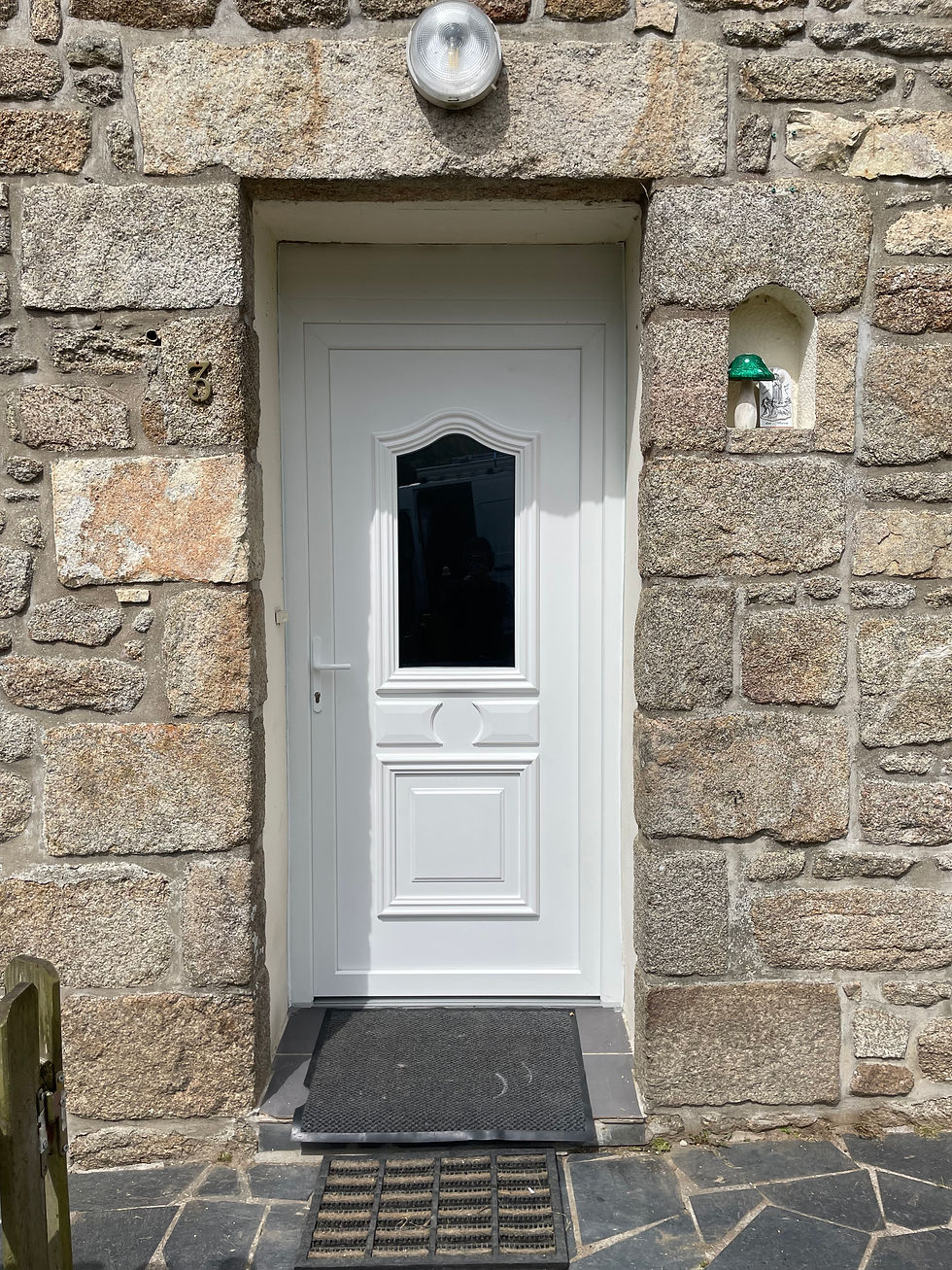 remplacement de porte pvc