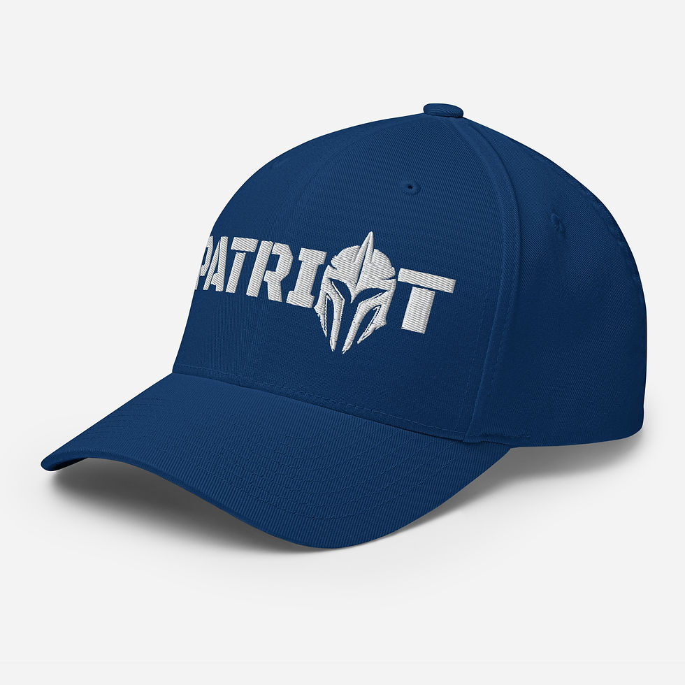 Thumbnail: PATRIOT Flex Hat