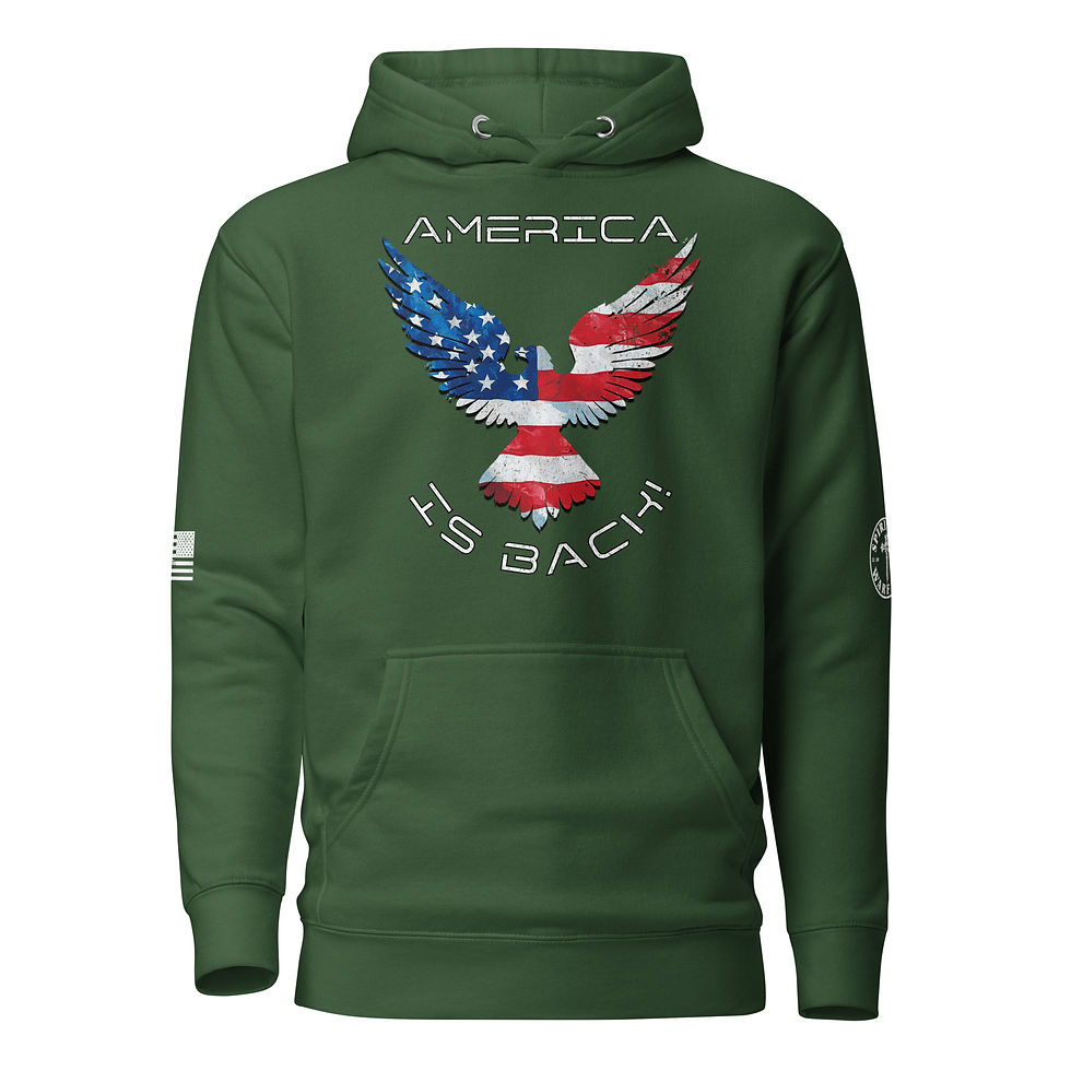 Thumbnail: AMERICA IS BACK! Unisex Hoodie