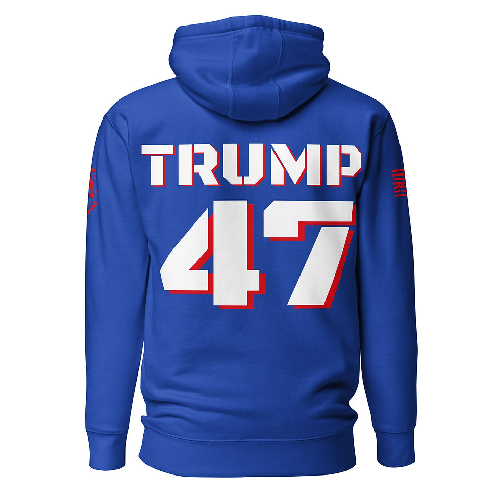 Thumbnail: COMMON SENSE IS BACK! Hoodie