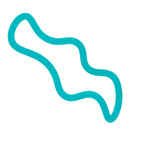 LINE SHAPES_01-14.png