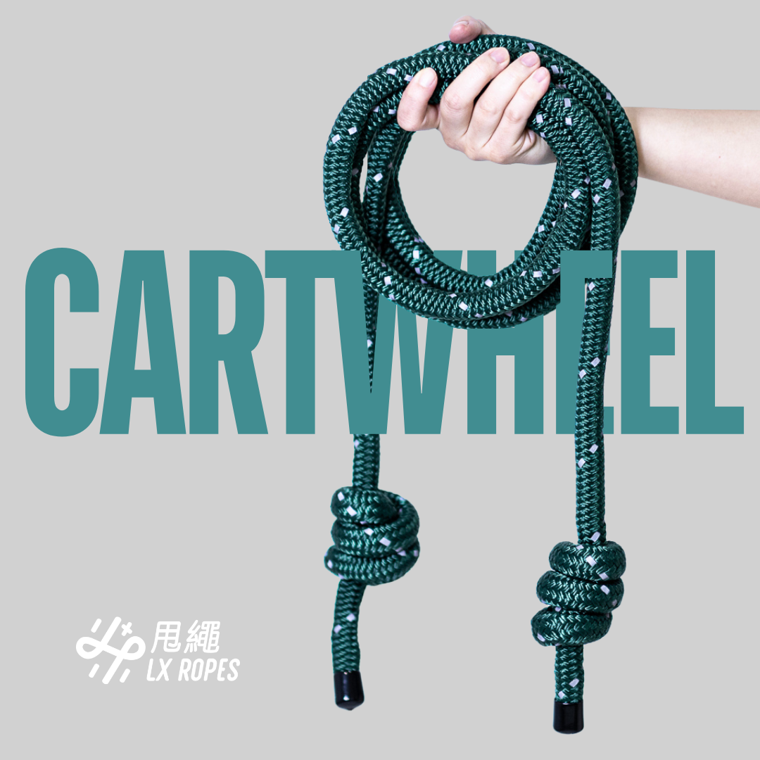 甩繩:反光系列 - 旋影