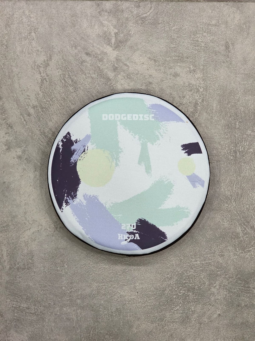 縮圖：270MM躲避盤