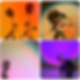Avis image.png