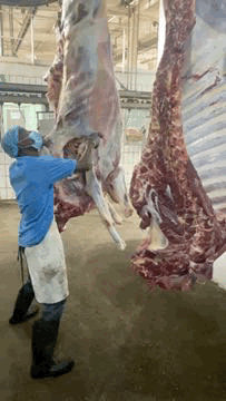 Head Butcher Checking Carcass