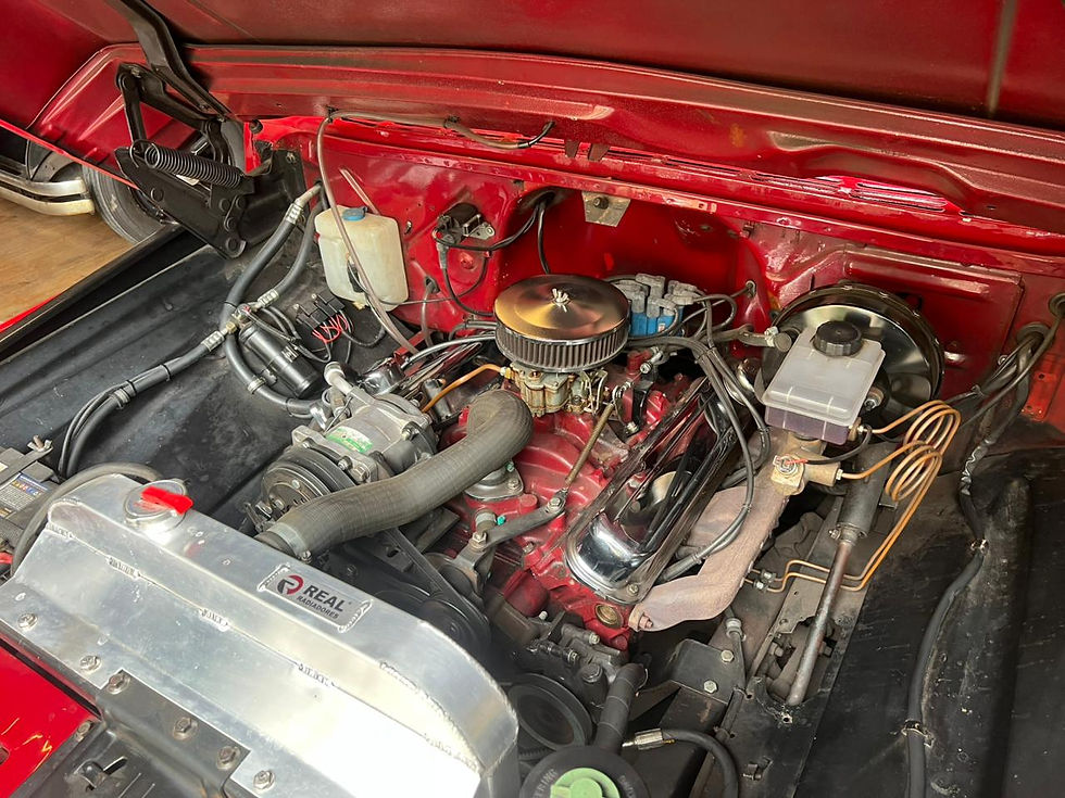 Miniatura: 1973 C14